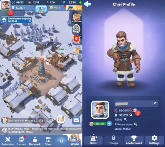 Whiteout Survival Account ID