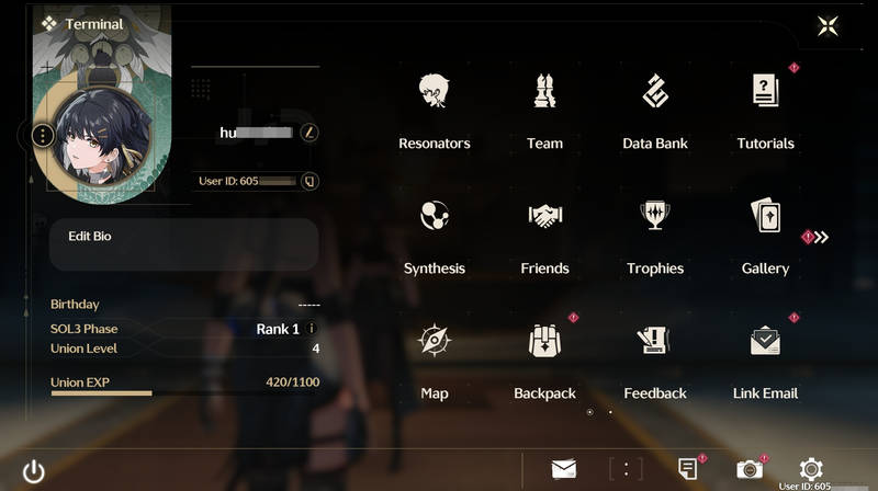 Wuthering Waves User ID Example